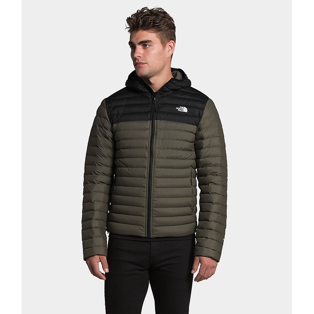 The North Face Hooded Jacket Mens Australia - The North Face Stretch Green / Black (XPQ-937846)